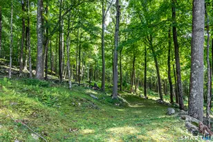 91 Muller Rd, Kent, CT 06757 - Photo 27