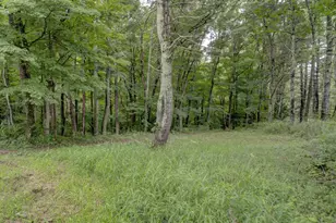 307 Mansfield Rd, Ashford, CT 06278 - Photo 29
