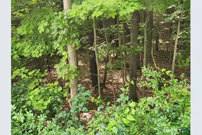 0 Lyon Hill Road, Woodstock Valley, CT 06281 - Photo 21