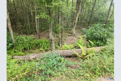 0 Lyon Hill Road, Woodstock Valley, CT 06281 - Photo 17
