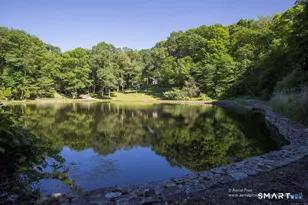 40 Looking Glass Hill Rd, Litchfield, CT 06759 - Photo 35