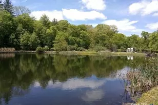 40 Looking Glass Hill Rd, Litchfield, CT 06759 - Photo 5