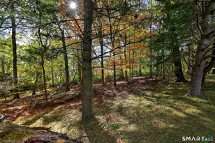 690 Forest Rd, West Haven, CT 06516 - Photo 9