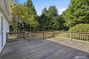 30 Bridge St, Ellington, CT 06029 - Photo 29