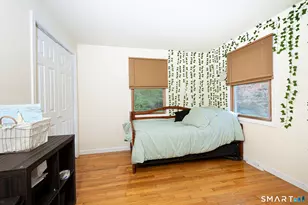 243 Fabyan Rd, Thompson, CT 06255 - Photo 23