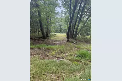 Lot 29 Route 32 Route, Franklin, CT 06254 - Photo 3