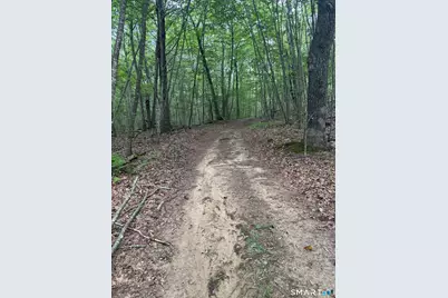 Lot 29 Route 32 Route, Franklin, CT 06254 - Photo 5