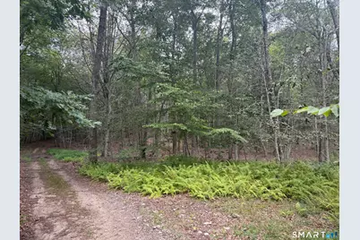 Lot 29 Route 32, Franklin, CT 06254 - Photo 1