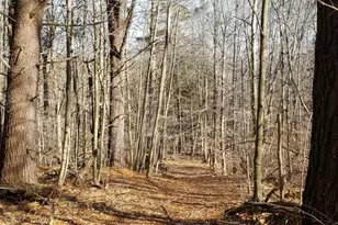 53 Flag Hill Rd, Colebrook, CT 06021 - Photo 1