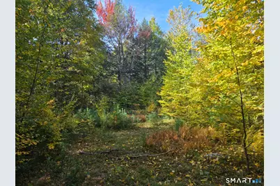 53 Flag Hill Road, Colebrook, CT 06021 - Photo 9