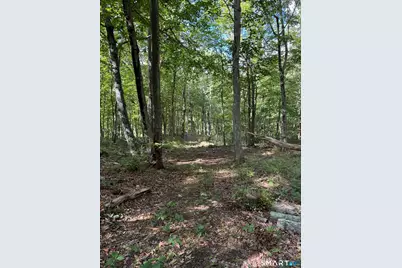Tater Hill Road, East Haddam, CT 06423 - Photo 3