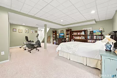 6 Wickhams Fancy #6, Canton, CT 06019 - Photo 31