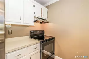 178 Willow Springs, New Milford, CT 06776 - Photo 15