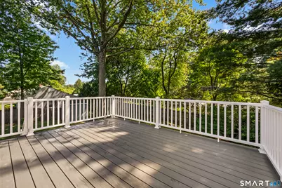 22 Carrona Drive, Greenwich, CT 06878 - Photo 21