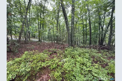 354 Good Hill Road, Weston, CT 06883 - Photo 3
