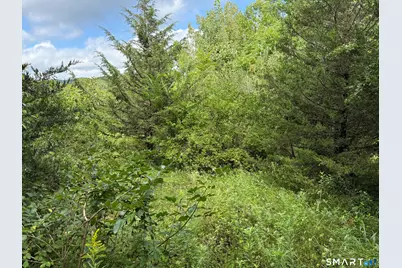 97 Long River Road, Sherman, CT 06784 - Photo 9