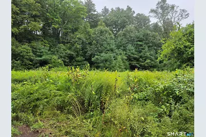 Tbd 169 Route, Woodstock Valley, CT 06281 - Photo 3