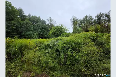 Tbd 169 Route, Woodstock Valley, CT 06281 - Photo 5