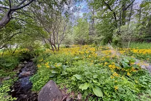 58 Sky Meadow Dr, Stamford, CT 06903 - Photo 35