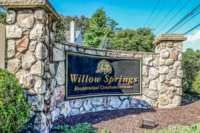 56 Willow Springs #56, New Milford, CT 06776 - Photo 33