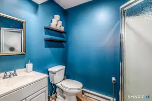 56 Willow Springs, New Milford, CT 06776 - Photo 15