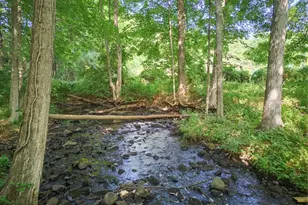 418 Lovely St, Avon, CT 06001 - Photo 9