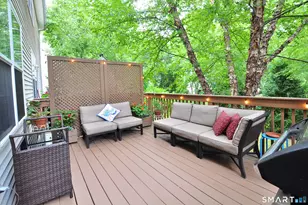 11 Rhodora Terrace, Windsor, CT 06095 - Photo 15