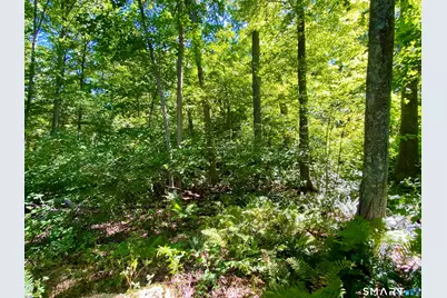 Seagraves Road, Coventry, CT 06238 - Photo 5