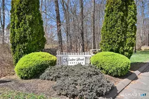107 Meadow Brook Rd, Oxford, CT 06478 - Photo 35