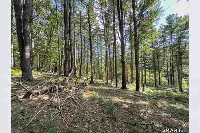 49 Stone Road, Killingly, CT 06241 - Photo 9