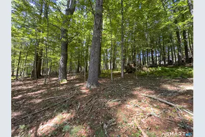 49 Stone Road, Killingly, CT 06241 - Photo 5