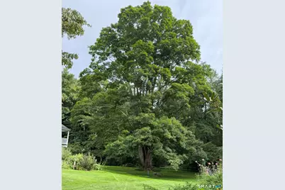 3 Blackman Road, Ridgefield, CT 06877 - Photo 37