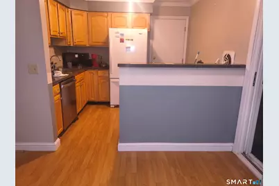 66 Willieb Street #66, Glastonbury, CT 06033 - Photo 13