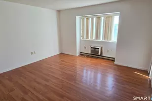 51 Wildman St, Danbury, CT 06810 - Photo 13
