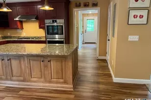 113 Lighthouse Rd, Woodbury, CT 06798 - Photo 19