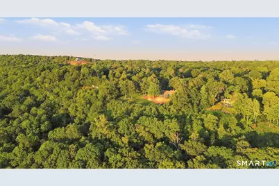 55 Montevideo Road, Avon, CT 06001 - Photo 13