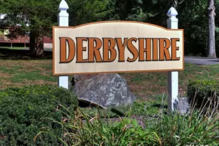 12 Derbyshire, Derby, CT 06418 - Photo 39