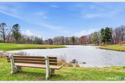 28 Coach Drive #28, Southington, CT 06489 - Photo 31