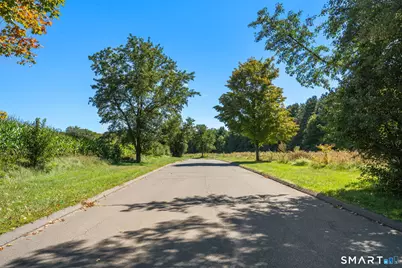 55 Harmony Hill, Granby, CT 06035 - Photo 13