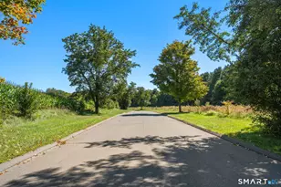 55 Harmony Hill, Granby, CT 06035 - Photo 13