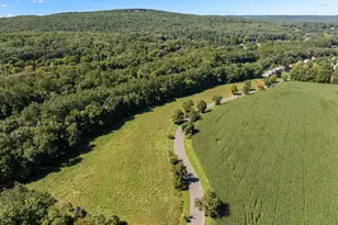 55 Harmony Hill, Granby, CT 06035 - Photo 9