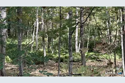 Old Colony Road, Eastford, CT 06242 - Photo 3