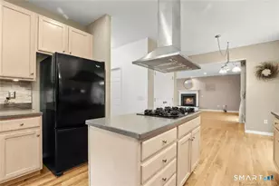 22 Apollo Rd, Bethel, CT 06801 - Photo 13