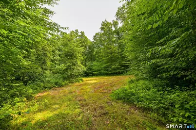 Aplin Hill Lane, Woodstock Valley, CT 06281 - Photo 7