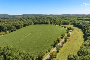 59 Harmony Hill, Granby, CT 06035 - Photo 5