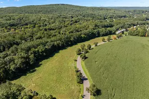 63 Harmony Hill, Granby, CT 06035 - Photo 9
