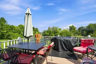 35 Maura Ln, Danbury, CT 06810 - Photo 29
