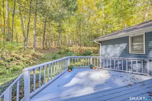 121 Beech Mountain Rd, Mansfield, CT 06250 - Photo 39