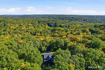 46 Bloomer Road, Ridgefield, CT 06877 - Photo 33