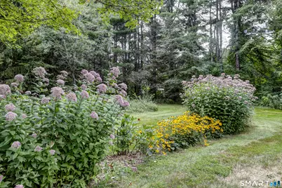 8 Phelps Road, Colebrook, CT 06021 - Photo 21